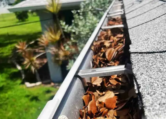 Gutter Cleaning Arlington Heights home page