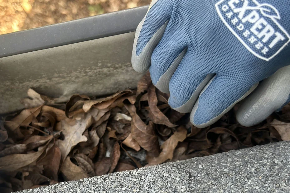 Gutter Cleaning Arlington Heights