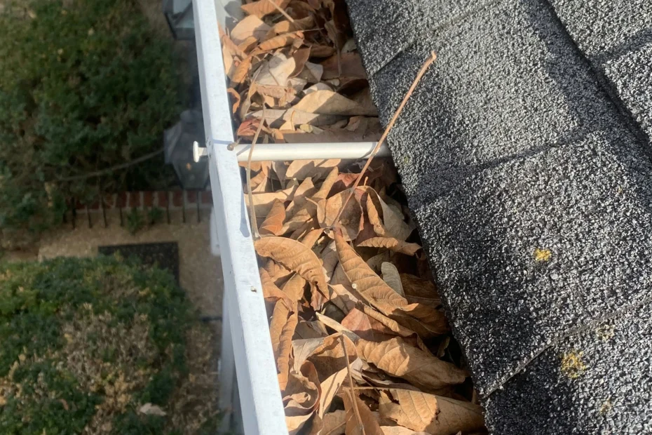 Gutter Cleaning Arlington Heights